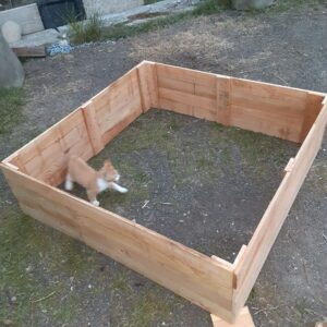 Four by Four Garden Planter Box - and Cat